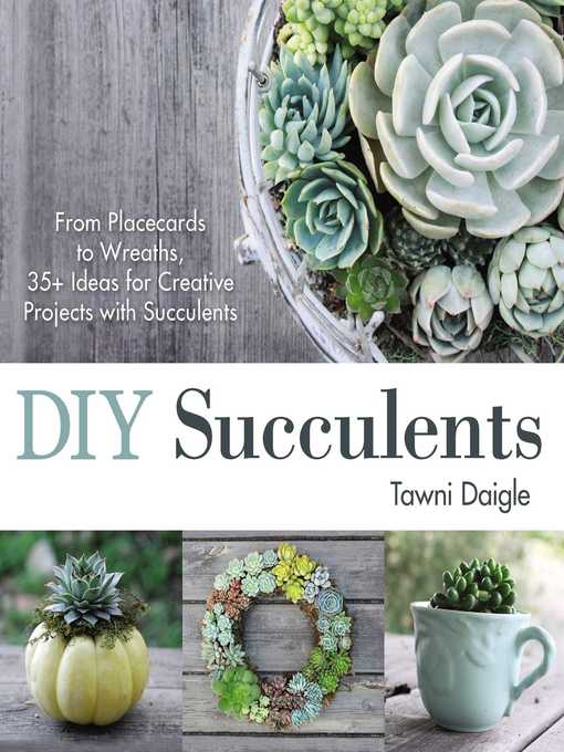 Title details for DIY Succulents by Tawni Daigle - Wait list